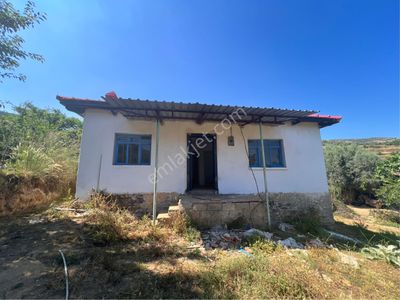 Konut-Köy Evi