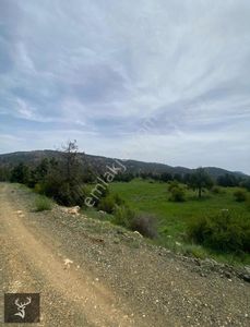 Arsa-Tarla