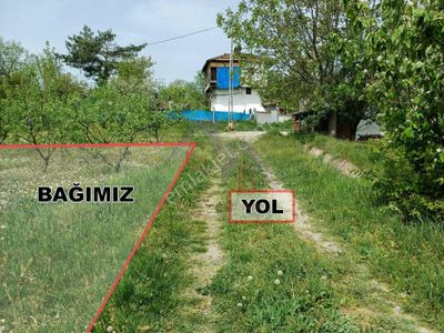 Arsa-Bağ & Bahçe