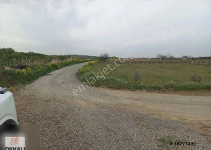Arsa-Bağ & Bahçe