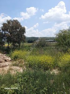 Arsa-Tarla