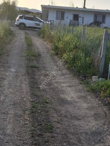 Arsa-Tarla