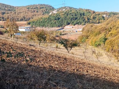 Arsa-Tarla