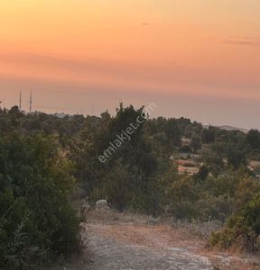 Arsa-Konut İmarlı