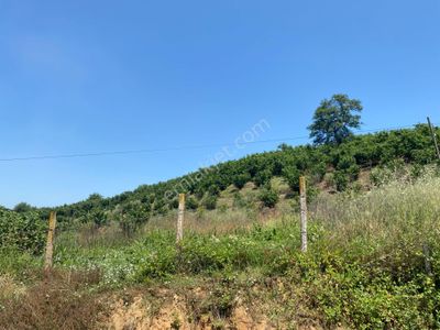 Arsa-Konut İmarlı