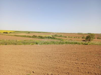 Arsa-Tarla