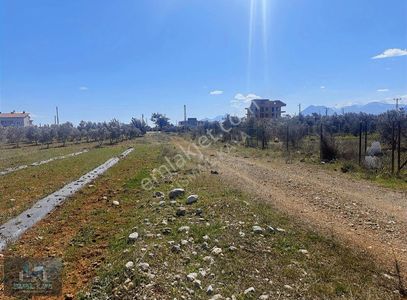 Arsa-Villa İmarlı