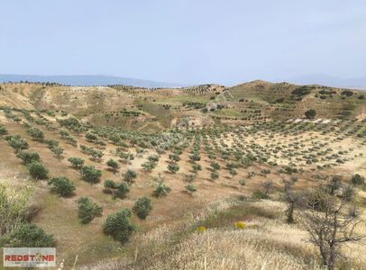 Arsa-Tarla