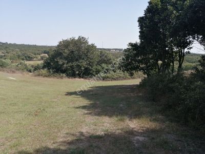 Arsa-Tarla