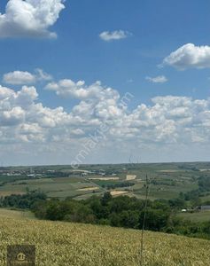 Arsa-Tarla