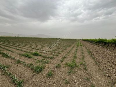 Arsa-Tarla