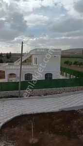 Arsa-Bağ & Bahçe
