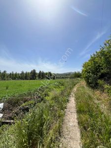 Arsa-Tarla