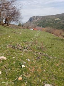 Arsa-Tarla
