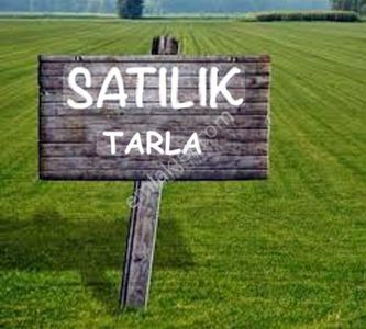 Arsa-Tarla