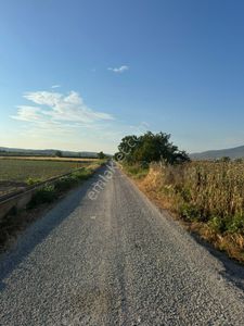Arsa-Tarla