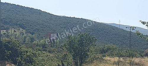 Konut-Müstakil Ev