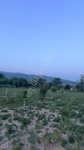 Arsa-Tarla