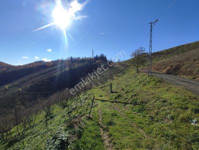 Arsa-Tarla