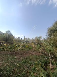 Arsa-Konut İmarlı