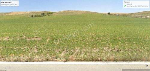 Arsa-Tarla