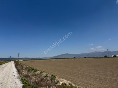 Arsa-Tarla