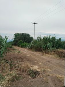 Arsa-Tarla