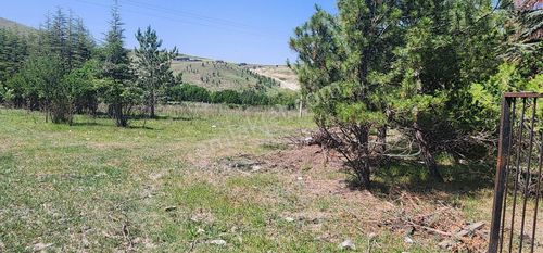 Arsa-Tarla