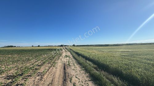 Arsa-Tarla