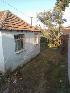Arsa-Bağ & Bahçe