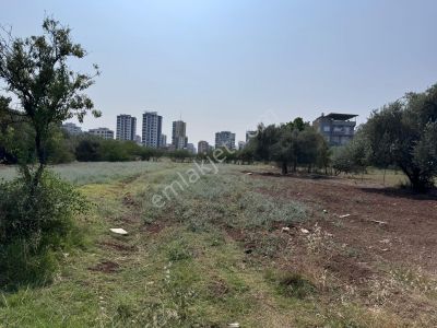 Arsa-Konut İmarlı