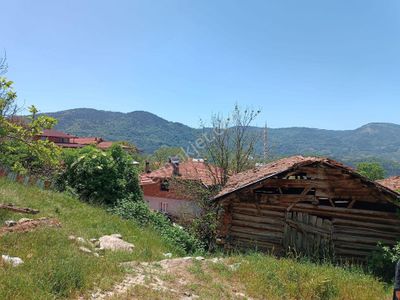 Arsa-Tarla