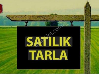 Arsa-Tarla