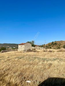 Arsa-Tarla