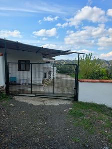 Arsa-Zeytinlik