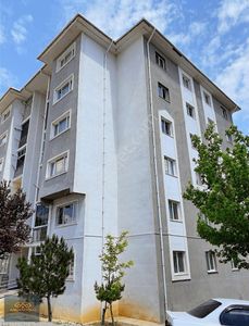 Konut-Daire