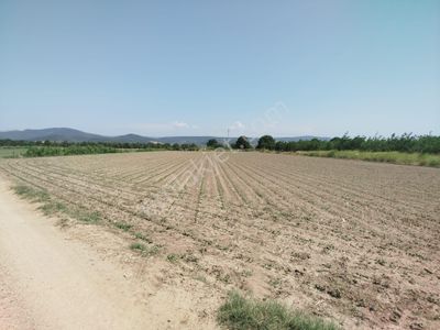 Arsa-Tarla