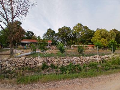 Arsa-Tarla