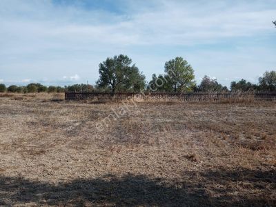 Arsa-Tarla