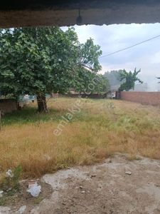 Arsa-Konut İmarlı