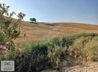Arsa-Sanayi İmarlı