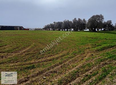 Arsa-Tarla