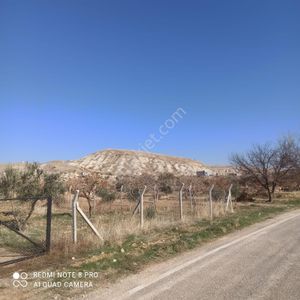 Arsa-Tarla