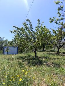Arsa-Tarla