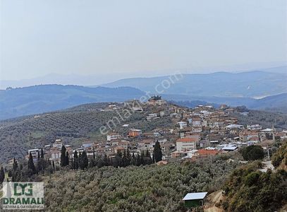 Arsa-Zeytinlik