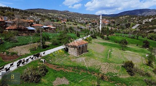 Arsa-Tarla