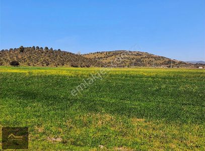 Arsa-Tarla