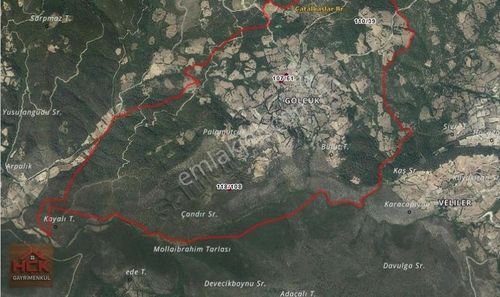 Arsa-Tarla