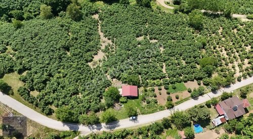 Arsa-Villa İmarlı