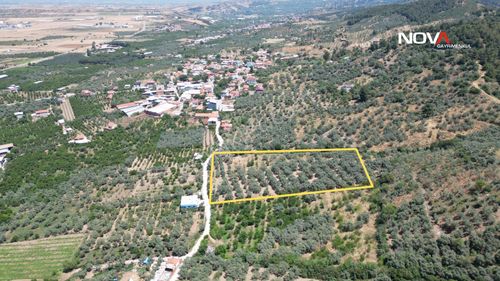 Arsa-Tarla